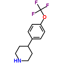 4-[4-(Trifluoromethoxy)phenyl]piperidine Structure