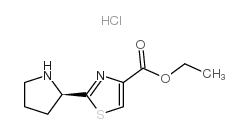 (S)-2-吡咯烷-2-基噻唑-4-甲酸乙酯结构式