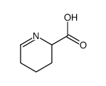 2,3,4,5-四氢吡啶-2-羧酸结构式