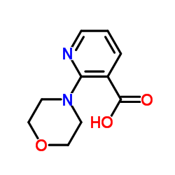 2-Morpholinonicotinic acid picture