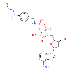 4-(N-2-chloroethyl-N-methylamino)benzyl-gamma-amide dATP Structure