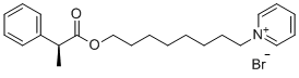 MRS 2481 structure