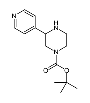 tert-butyl 3-pyridin-4-ylpiperazine-1-carboxylate picture