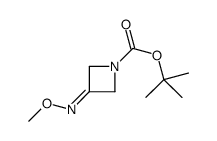 tert-butyl 3-methoxyiminoazetidine-1-carboxylate structure