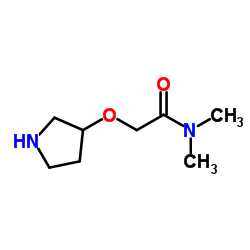 N,N-Dimethyl-2-(3-pyrrolidinyloxy)acetamide Structure