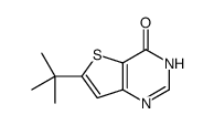 6-TERT-BUTYL-3H-THIENO[3,2-D]PYRIMIDIN-4-ONE structure