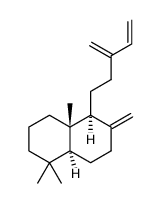 sclarene picture