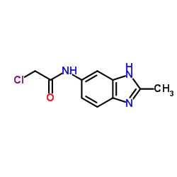 2-CHLORO-N-(2-METHYL-3H-BENZOIMIDAZOL-5-YL)-ACETAMIDE Structure