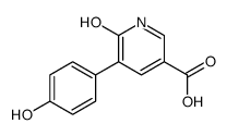 5-(4-hydroxyphenyl)-6-oxo-1H-pyridine-3-carboxylic acid Structure