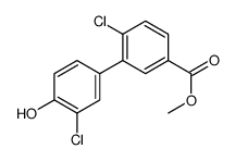 1261928-96-4 structure