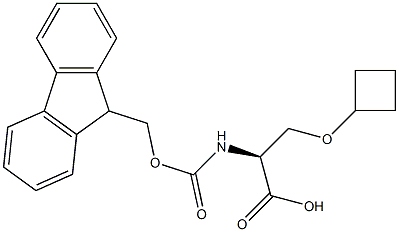 N-Fmoc-L-Ser(Cyclobutyl)-OH picture