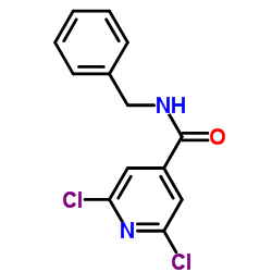 N-Benzyl-2,6-dichloroisonicotinamide Structure