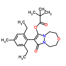 243973-20-8结构式