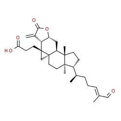 Coronalolide Structure