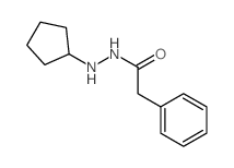 N-cyclopentyl-2-phenyl-acetohydrazide结构式