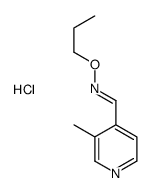 (E)-1-(3-methylpyridin-4-yl)-N-propoxymethanimine,hydrochloride结构式