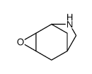 3-oxa-8-azatricyclo[4.2.1.02,4]nonane结构式