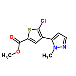 5-氯-4-(1-甲基-1H-吡唑-5-基)噻吩-2-羧酸甲酯结构式