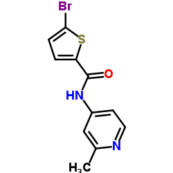 5-溴-N-(2-甲基吡啶-4-基)噻吩-2-甲酰胺图片