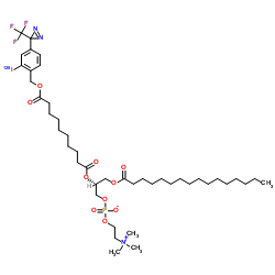 (2R)-2-{[10-({2-(125I)Iodo-4-[3-(trifluoromethyl)-3H-diaziren-3-yl]benzyl}oxy)-10-oxodecanoyl]oxy}-3-(palmitoyloxy)propyl 2-(trimethylammonio)ethyl phosphate结构式