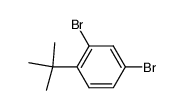 2,4-dibromo-1-tert-butyl-benzene Structure