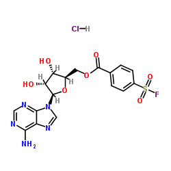 FSBA Structure