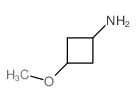 3-甲氧基环丁胺图片