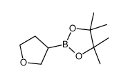 4,4,5,5-Tetramethyl-2-(tetrahydro-3-furanyl)-1,3,2-dioxaborolane structure