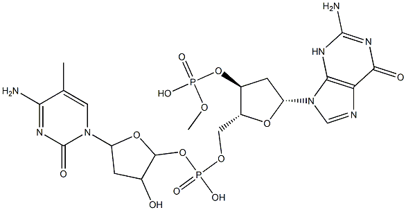 poly(dG-m(5)dC).poly(dG-m(5)dC) structure