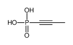 prop-1-ynylphosphonic acid Structure