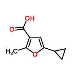 5-CYCLOPROPYL-2-METHYL-FURAN-3-CARBOXYLIC ACID picture