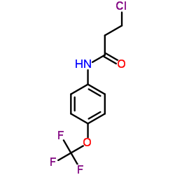 3-氯-N-(4-(三氟甲氧基)苯基)丙酰胺结构式