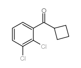 CYCLOBUTYL 2,3-DICHLOROPHENYL KETONE图片