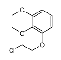 5-(2-chloroethoxy)-2,3-dihydro-1,4-benzodioxine Structure