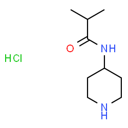 N-(piperidine-4-yl)isobutylamide hydrochloride picture