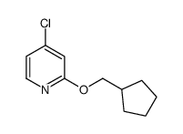 4-Chloro-2-(cyclopentylmethoxy)pyridine结构式