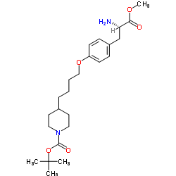 (S)-4-(4-(4-(2-氨基-3-甲氧基-3-氧代丙基)苯氧基)丁基)哌啶-1-甲酸叔丁酯图片