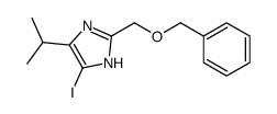 4-iodo-2-(phenylmethoxymethyl)-5-propan-2-yl-1H-imidazole结构式