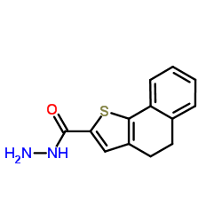 4,5-DIHYDRO-NAPHTHO[1,2-B]THIOPHENE-2-CARBOXYLIC ACID HYDRAZIDE structure