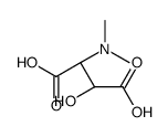 (2S)-2-(dimethylamino)-3-hydroxybutanedioic acid Structure