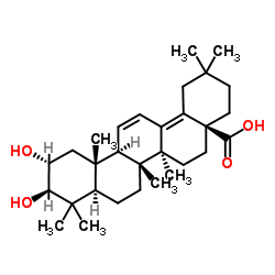 脱氢山楂酸图片