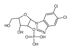 75206-89-2结构式