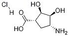 (1S,2R,3S,4R)-4-aMino-2,3-dihydroxycyclopentanecarboxylic acid hydrochloride structure