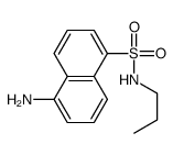 5-amino-N-propylnaphthalene-1-sulfonamide结构式