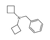 N,N-二环丁基苄胺结构式