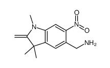 (1,3,3-trimethyl-2-methylidene-6-nitroindol-5-yl)methanamine Structure