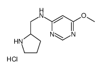 (6-Methoxy-pyrimidin-4-yl)-pyrrolidin-2-ylmethyl-amine hydrochloride结构式
