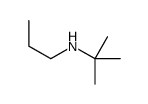 2-methyl-N-propylpropan-2-amine Structure