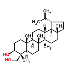 (3α)-Lup-20(29)-ene-3,23-diol picture