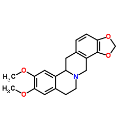 Tetrahydroepiberberine picture